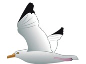Mouette